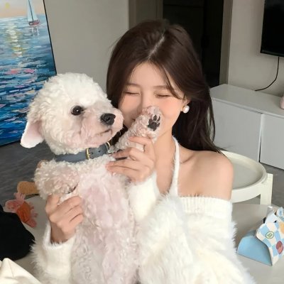 天启四骑士