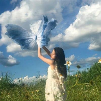 谁寄锦书来